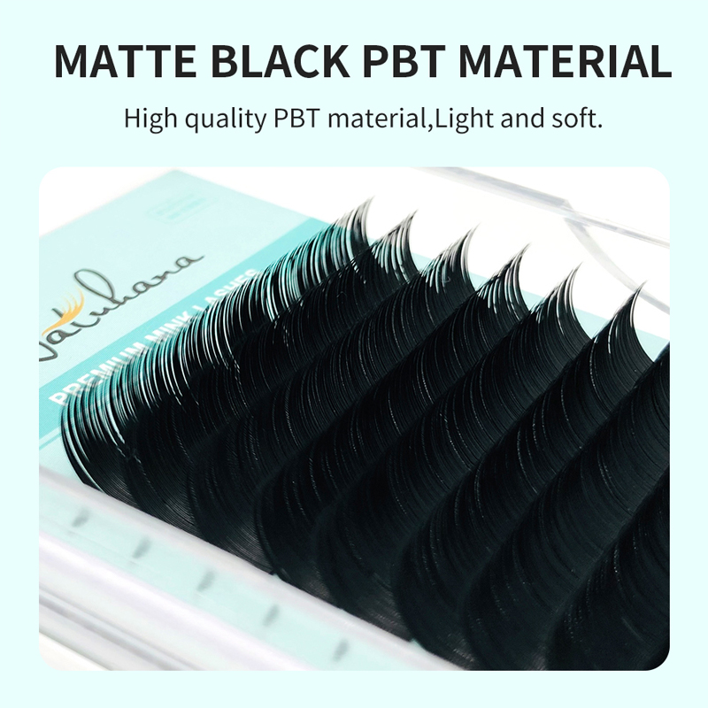 NATUHANA 韓国 PBT 16 行 B C D カール - Eyelash Extension Korea Natural のレビューと価格
